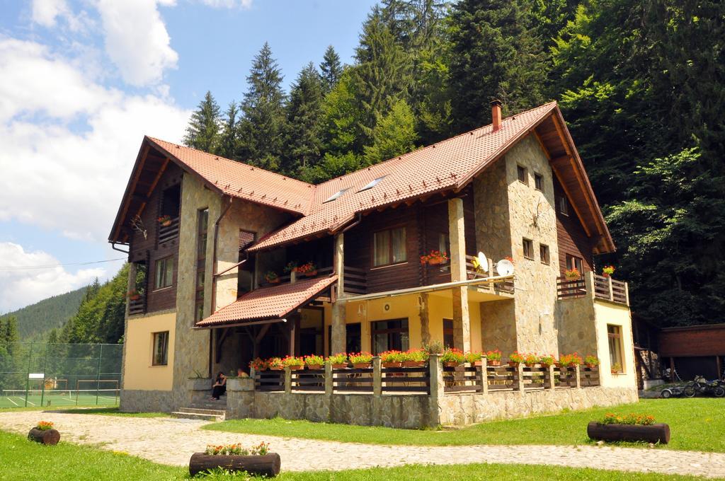 Pensiunea Denisa Lunca Bradului Exterior photo